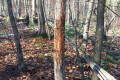 20141114_094414