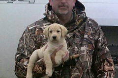 Wes Reed