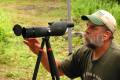 Gordon