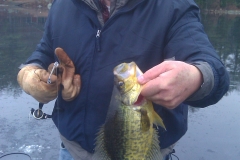 Crappie-slab