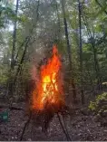 bg-fires bg-fires