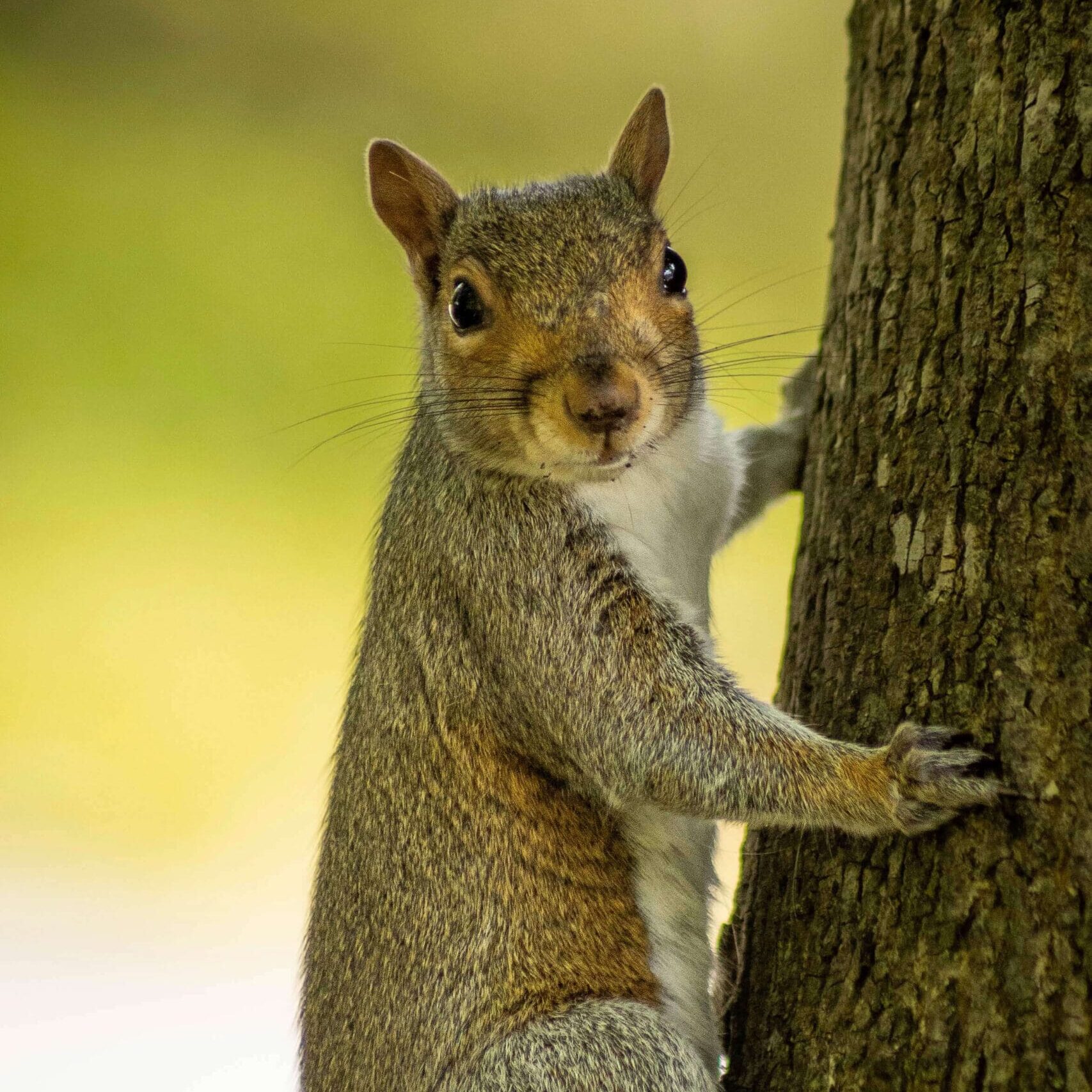 20240519_090851640_iOS