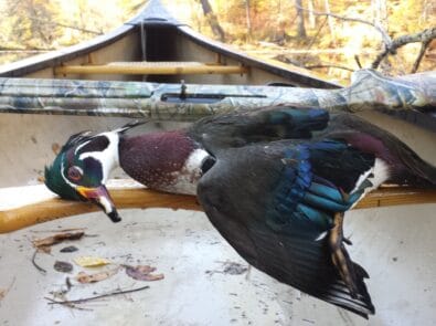 Upland Bird and Waterfowl Hunting