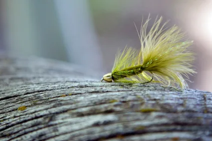Fly Fishing and Casting School